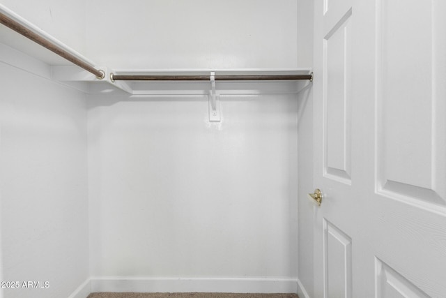 walk in closet with carpet