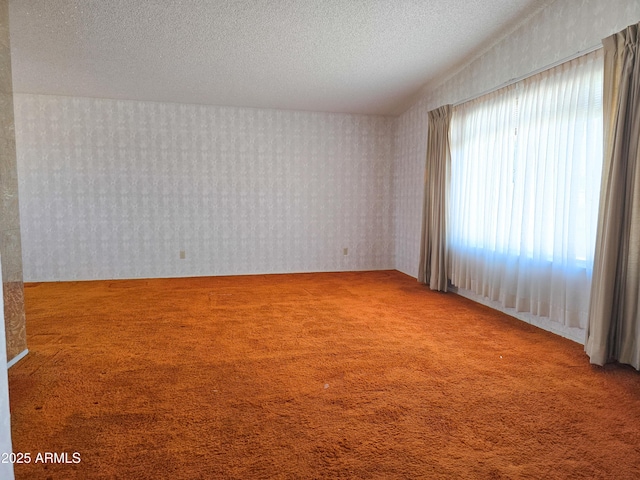 spare room featuring a textured ceiling and carpet flooring