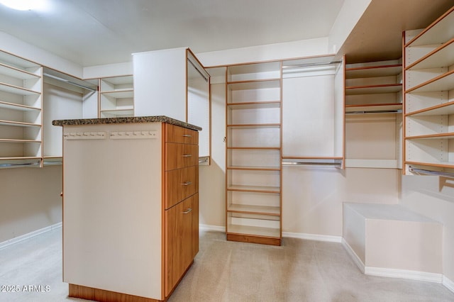 4856 E Cheryl Dr, Paradise Valley, AZ 85253 - spacious closet with light carpet