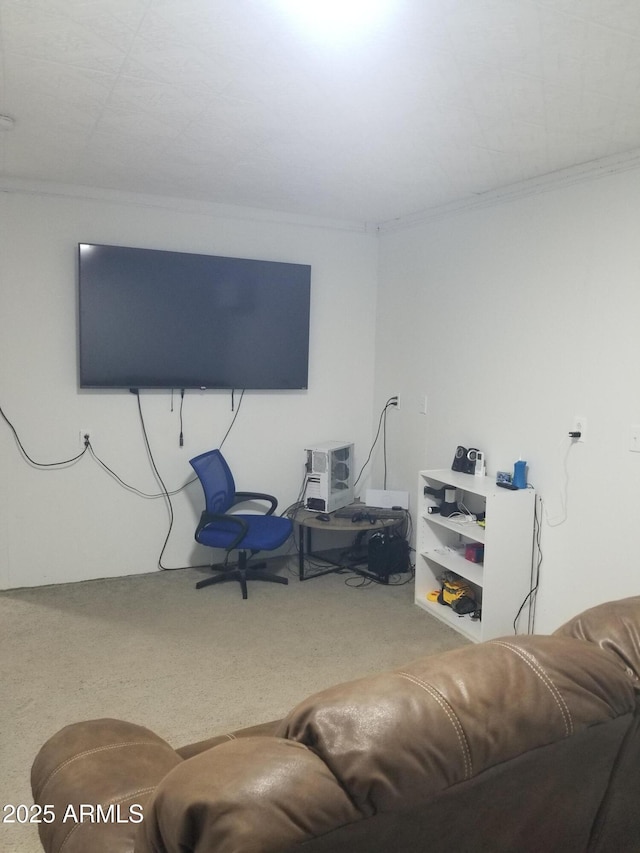 1226 N Mckinley Ave, Ajo, AZ 85321 - living area featuring carpet floors and crown molding