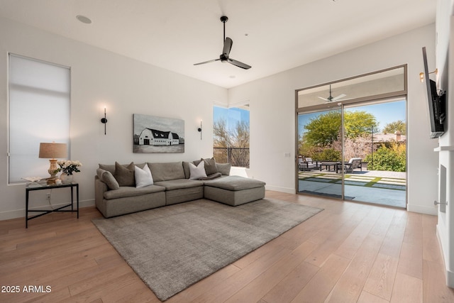 12366 N 129th St, Scottsdale, AZ 85259 - living room with a ceiling fan, light wood-style floors, and baseboards