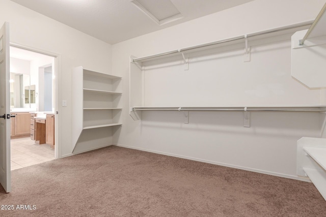 spacious closet with light carpet and attic access