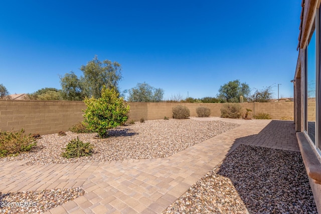 view of yard with a patio area and a fenced backyard