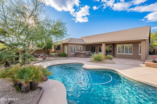 view of swimming pool with a patio