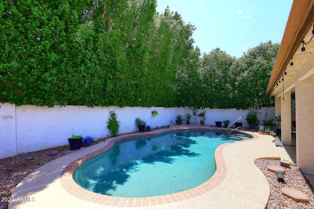 view of pool featuring a patio area