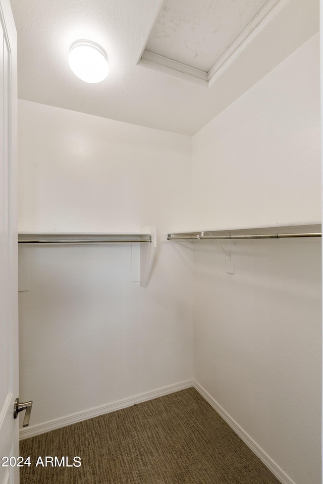 spacious closet featuring carpet floors