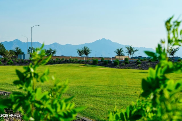 view of property's community with a mountain view and a yard