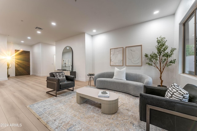 living room featuring light wood-type flooring