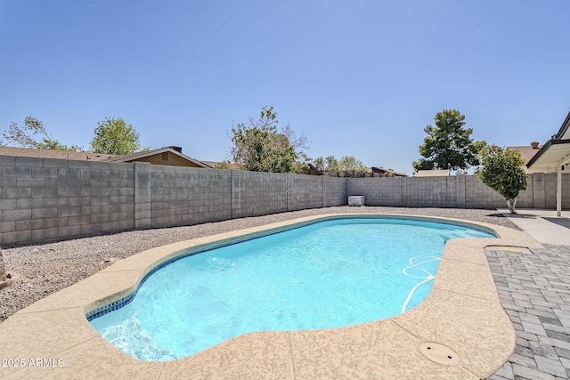 2337 E Contessa St, Mesa, AZ 85213 - view of pool featuring a fenced backyard