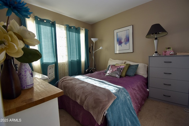 bedroom with carpet floors