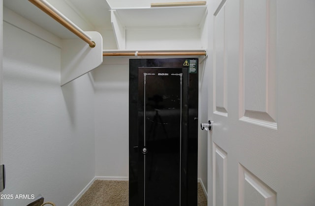 14298 W Amelia Ave, Goodyear, AZ 85395 - spacious closet featuring carpet flooring