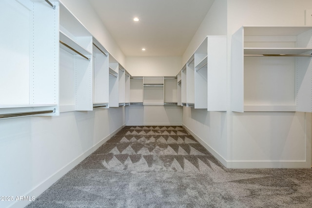 walk in closet featuring carpet