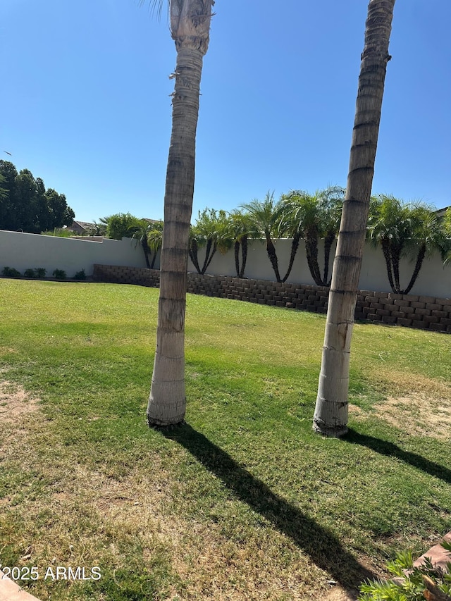 2013 E Valencia Dr, Phoenix, AZ 85042 - view of yard