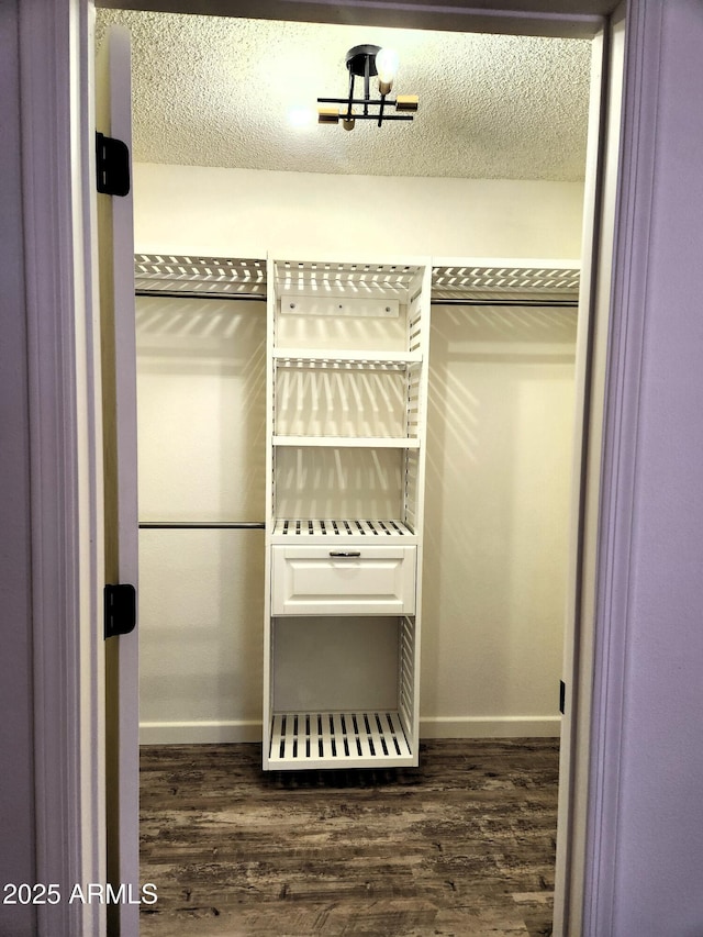 spacious closet featuring dark wood-type flooring