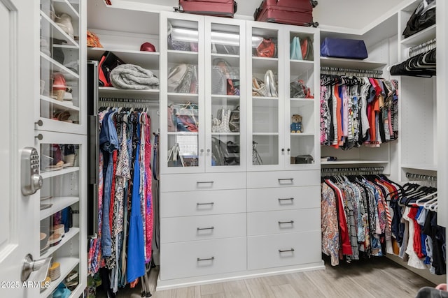 spacious closet featuring light wood-type flooring