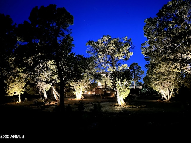 view of nature at night