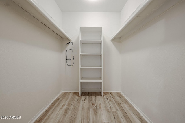 spacious closet featuring light hardwood / wood-style floors