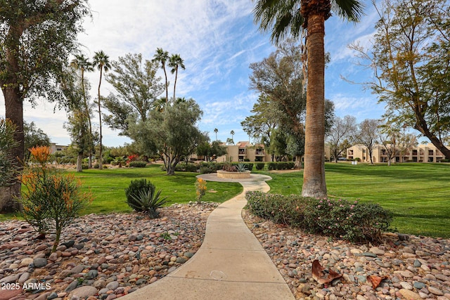 view of community featuring a yard