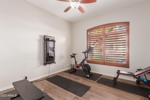 exercise area with wood-type flooring and ceiling fan