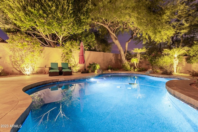 view of swimming pool featuring a patio area