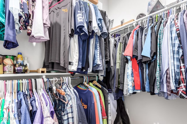 view of spacious closet