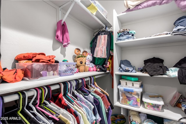 view of spacious closet