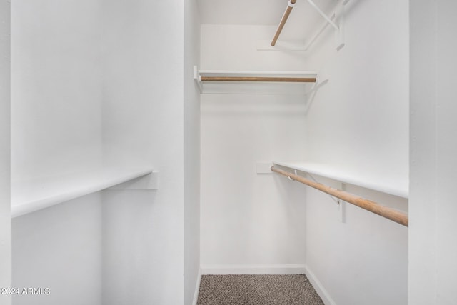 walk in closet featuring carpet floors