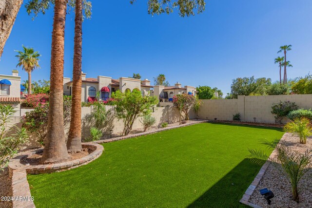 view of yard with a patio