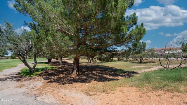 2922 S Palmer Dr Unit 36, Sierra Vista, AZ 85650