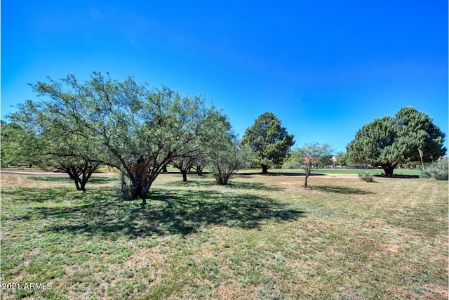 2922 S Palmer Dr Unit 36, Sierra Vista, AZ 85650