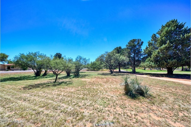 2922 S Palmer Dr Unit 36, Sierra Vista, AZ 85650