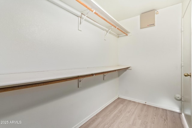 walk in closet with light wood-type flooring