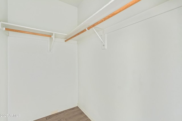 walk in closet featuring wood-type flooring