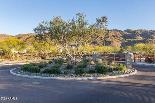 9815 S 11th St, Phoenix, AZ 85042 - view of mountain background