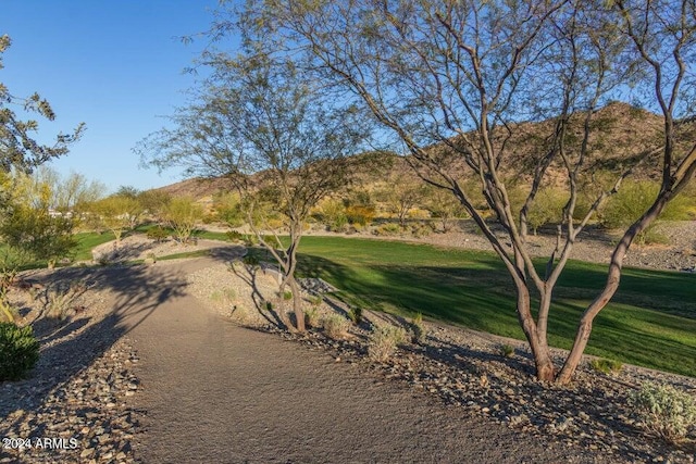 9815 S 11th St, Phoenix, AZ 85042 - view of home's community with a mountain view and a lawn