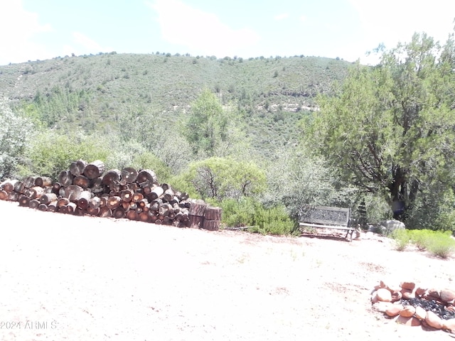 exterior space featuring a mountain view