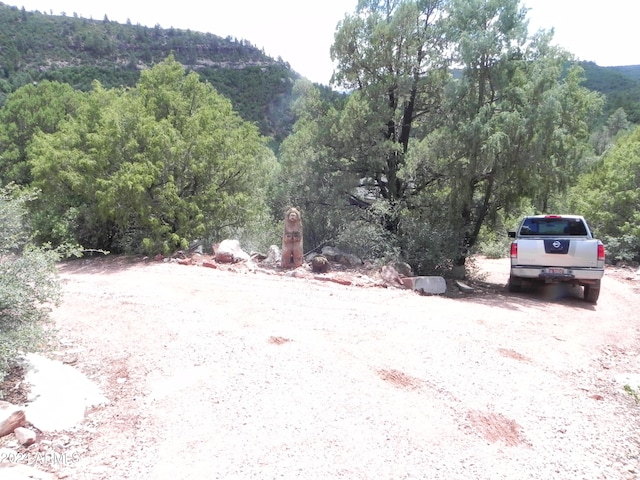 exterior space featuring a mountain view and a view of trees