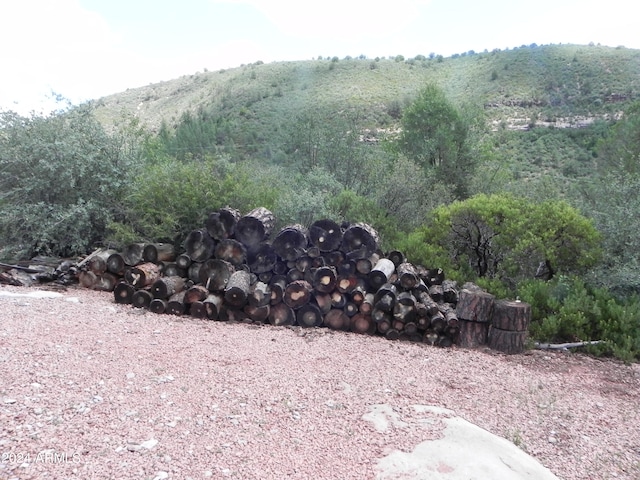 view of yard featuring a mountain view