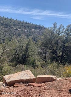 view of nature featuring a wooded view