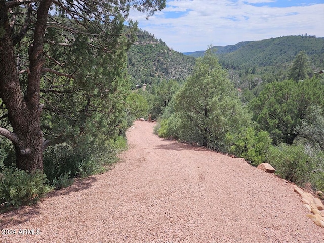 view of mountain feature