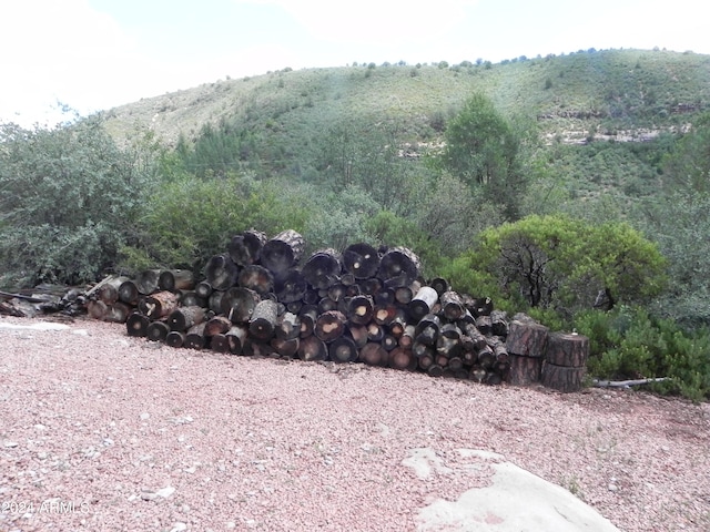 view of local wilderness featuring a wooded view and a mountain view