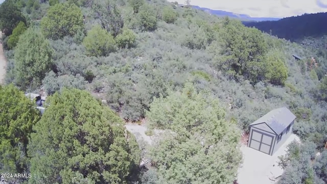 bird's eye view featuring a forest view