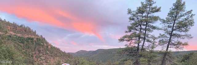 view of mountain feature with a forest view