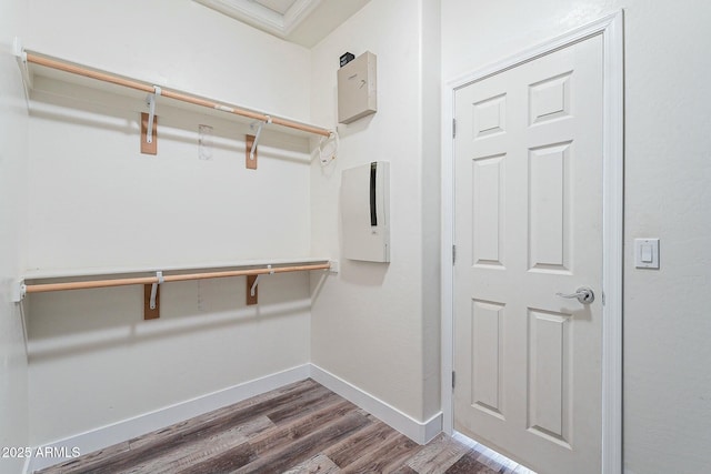 spacious closet with dark wood-style flooring