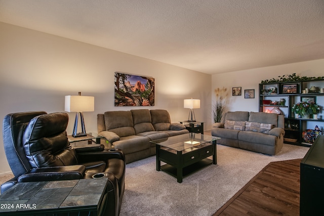 living room featuring a textured ceiling and carpet floors