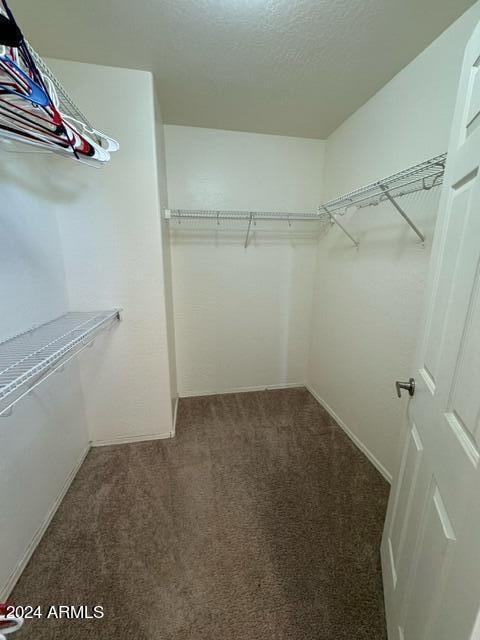 walk in closet featuring dark carpet