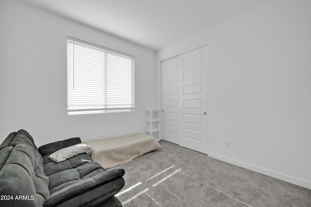 living area featuring light colored carpet