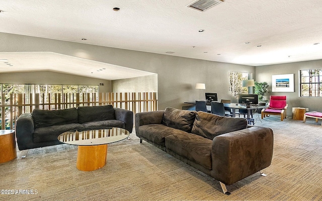 1185 W University Ave Unit 228, Flagstaff, AZ 86001 - living room featuring carpet flooring, a desk, and a textured ceiling