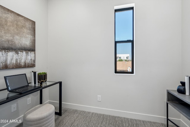 view of carpeted home office