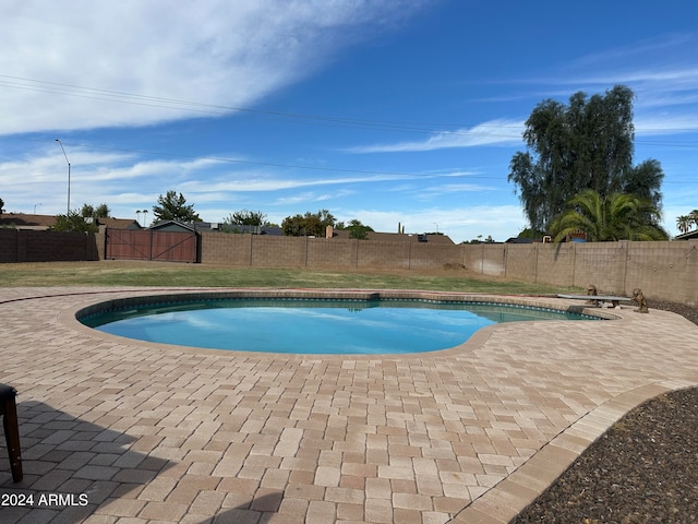 view of pool with a patio area